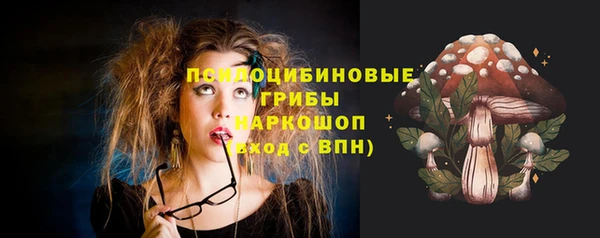 прущая мука Михайлов