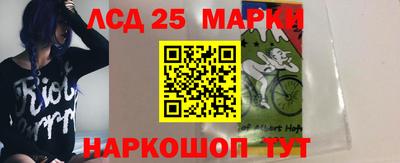 мдпв Камышлов