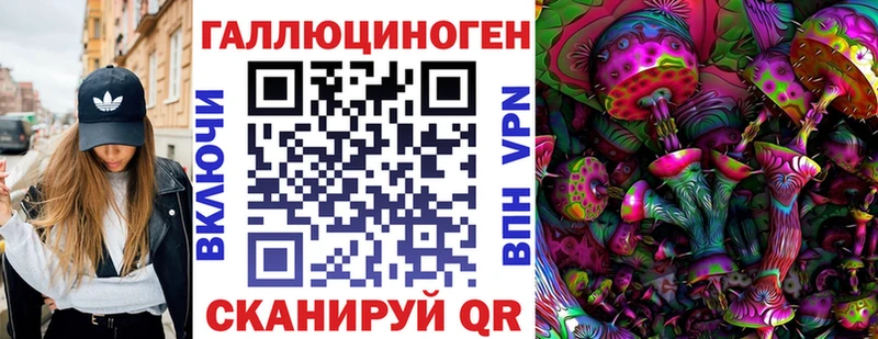 blacksprut ONION Кимовск Галлюциногенные грибы мицелий
