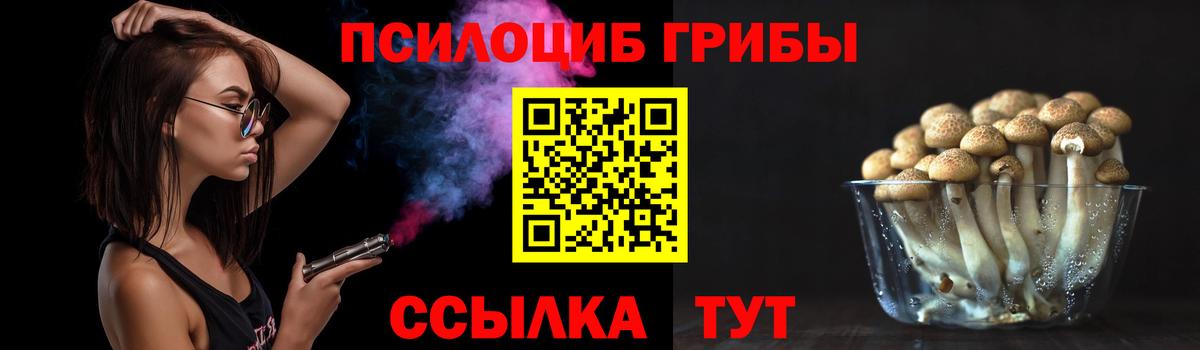 Галлюциногенные грибы Cubensis  Кимовск  Галлюциногенные грибы MAGIC MUSHROOMS 